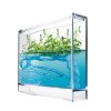 995 1 super forest ant ecoterrarium