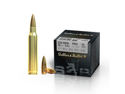 223 rem fmj 55
