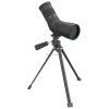 SCSS-11_002