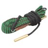 bore snake