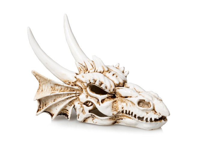 GiganAqua Dračí lebka S 12,5 x 9,2 x 8,5 cm (5)