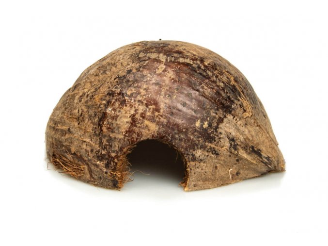 GiganTerra Úkryt Coco Hamster (6)