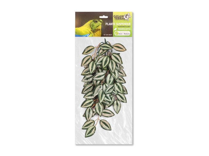 GiganTerra Závěsná rostlina Tradescantia do terária 45 cm