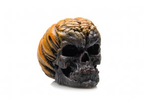 GiganTerra Lebka Pumpkin (7)
