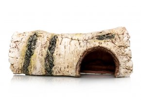 GiganTerra Úkryt kmen bříza L (7)
