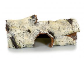 GiganTerra Úkryt Kmen bříza XL (5)