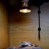 Arcadia Halogen Heat Lamp (1)