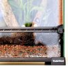 Habistat Amazon Sinking Clay Ball Filtration Substrate (2)