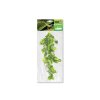 GiganTerra Závěsná rostlina Pothos 46 cm (1)