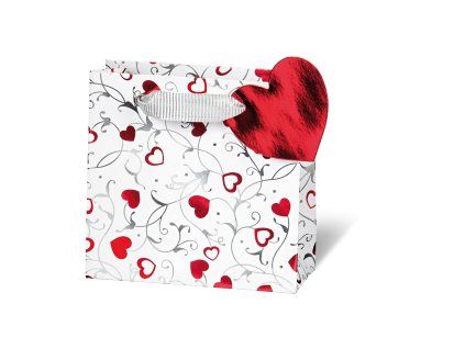 BSB - Darčeková taška - Srdiečka CD