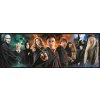 Puzzle 1000 PANORAMA HARRY POTTER COMPACT