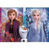 Puzzle 30 FROZEN 2
