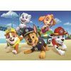 Puzzle 60 MAXI PAW PATROL 2023