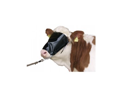 1702 1 zasterka na oci