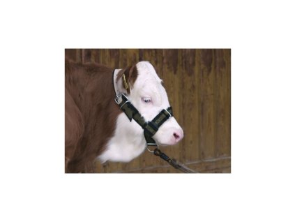 1720 ohlavka pro telata top zelena