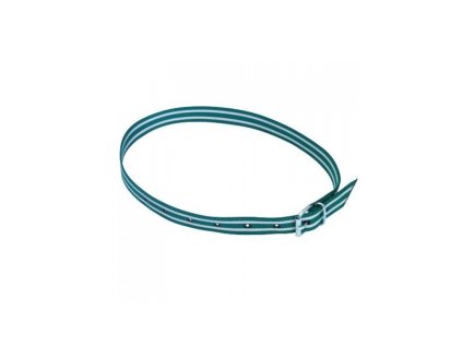 Řemen krční pro značení skotu s přezkou, zeleno - bílý (Varianta 135 cm)