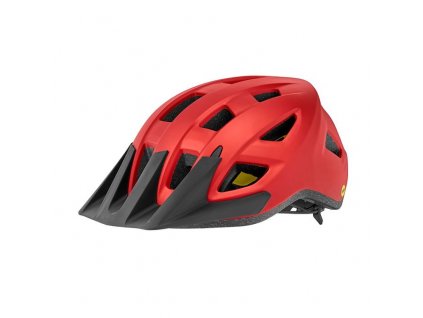 GIANT PATH ARX MIPS MATTE GRENADINE S-M (49-57CM)