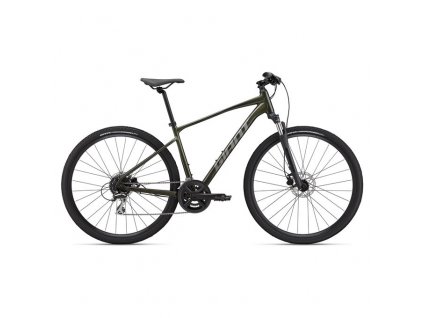 Trekingový bicykel GIANT Roam 3 Disc 28 2022 Phantom Green