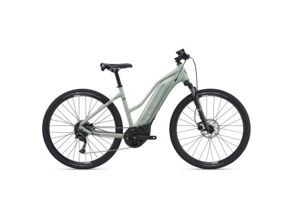 Giant Rove E+  L Laurel