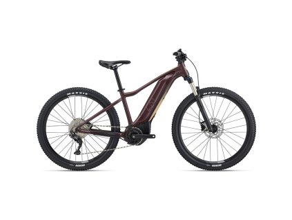 Giant Tempt E+ 1  XS Figuier