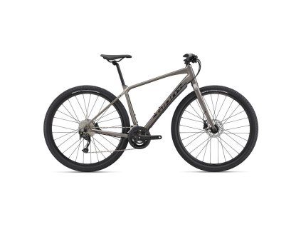 Giant ToughRoad SLR 2 S Metal