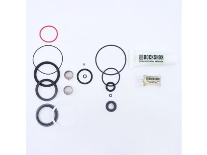 ROCKSHOX AM SVC KIT 200H/1YR DLX NUDE/BOLD C1