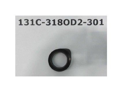 9QL5100101