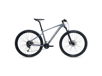 Horský bicykel GIANT Talon 29 2-GE 2022 Knight Shield