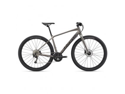 Cestný bicykel GIANT ToughRoad SLR 2 2022 Metal