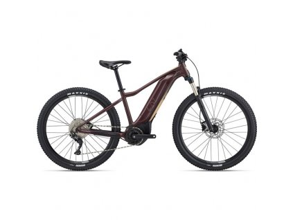 Tempt E+ 1 29er M Figuier M23