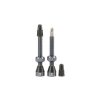 TUBOLIGHT GRAY VALVES PAIR (VV