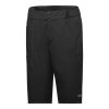 GORE Passion Shorts Mens black XXL