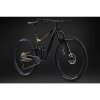 Giant Trance 29 1 M Panther/Pyrite Brown M24