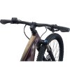 Giant Tempt E+ 1 29er  M Figuier