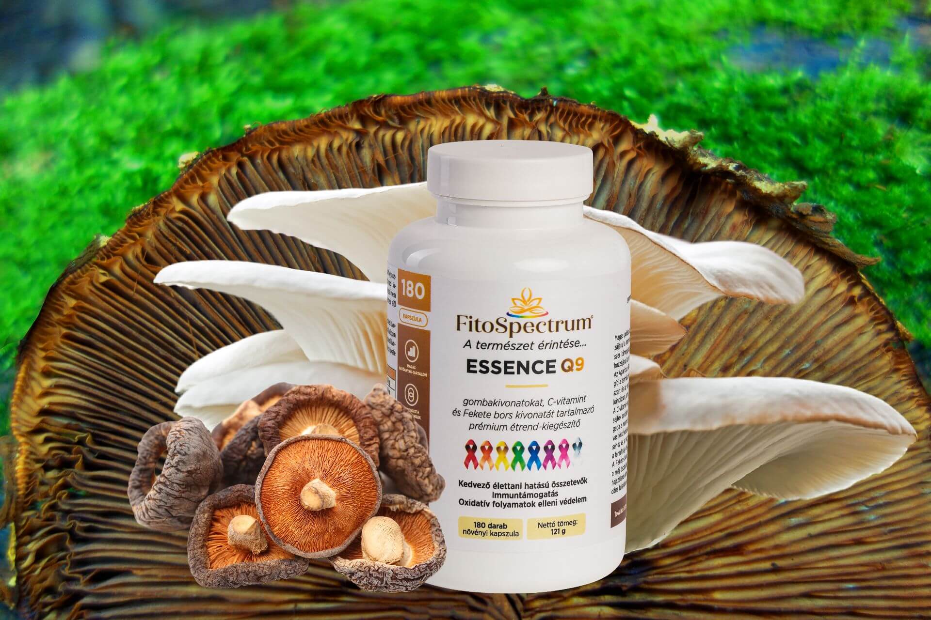 FitoSpectrum ESSENCE Q9 gombakivonatokat, C-vitamint és feket bors kivonatát tartalmazó prémium étrend-kiegészítő