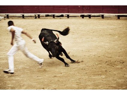 V ARÉNĚ / IN THE ARENA