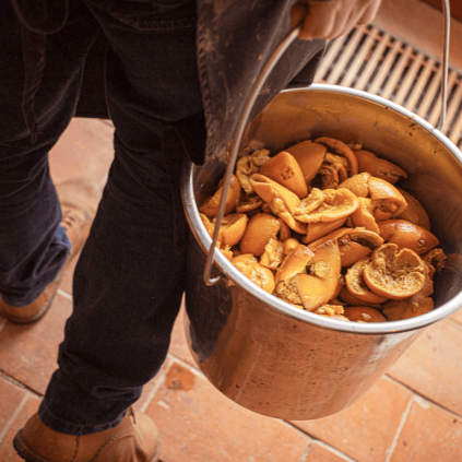 hp galery landcraft (15)