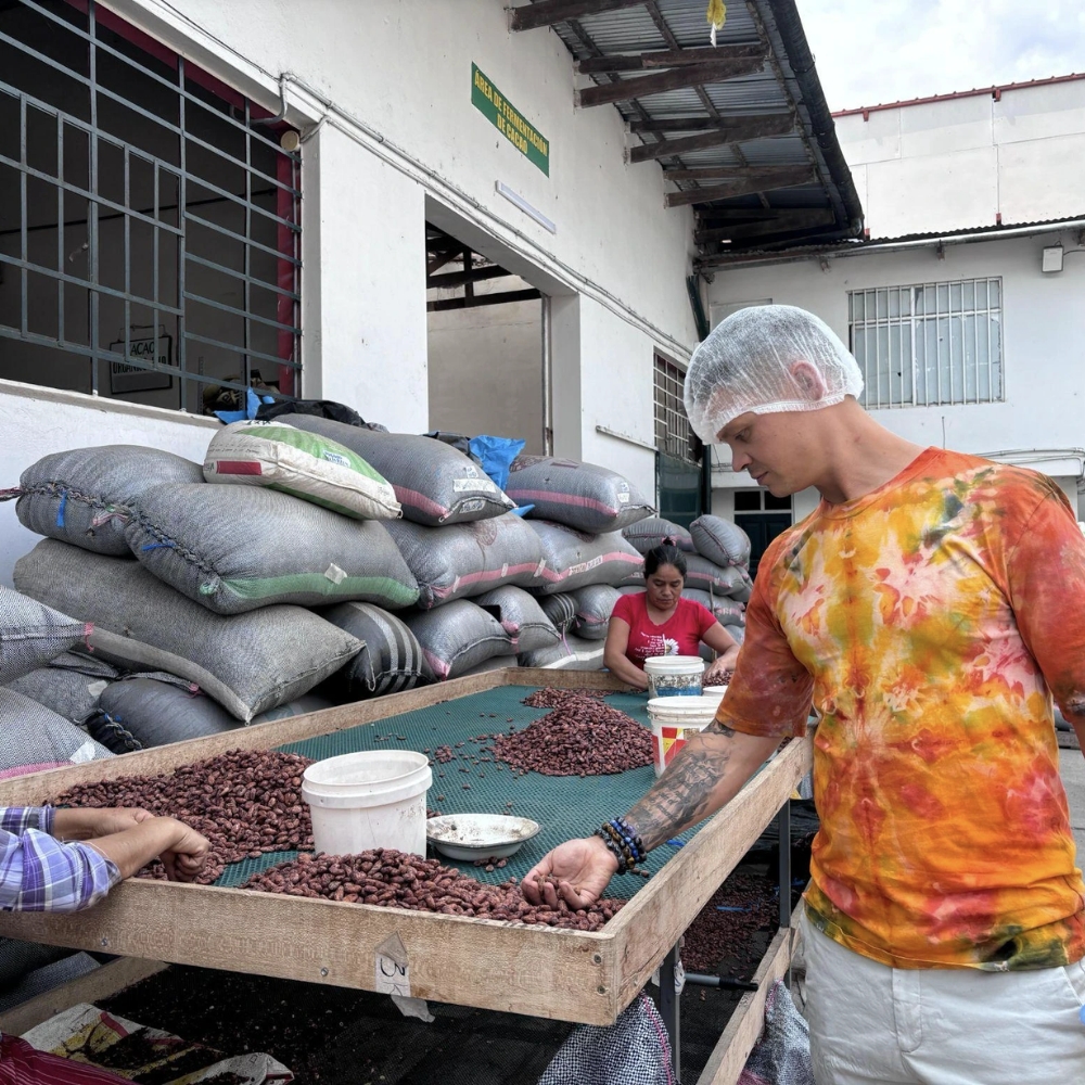 Ako sa spracováva kakao?