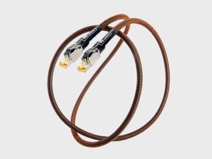 Silver Sonic Reunion CAT8 Ethernet 01