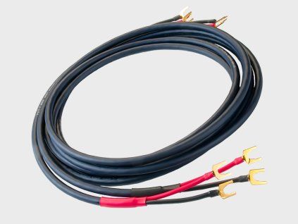 Silver Sonic T 14 Stereo Pair