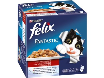 Felix fantastic (24 × 100g) - výběr v želé