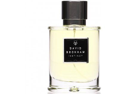 DAVID BECKHAM Instinct EdT 75 ml