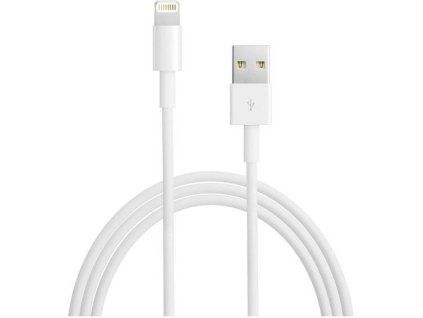 Apple Lightning to USB Cable 1m