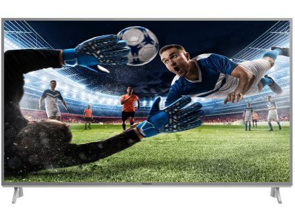55" Panasonic TX-55FX613E