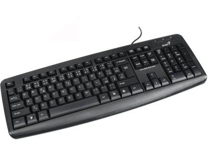 Genius KB-110X CZ+SK černá USB