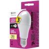 EMOS LED žárovka Classic A60 9W E27 studená bílá