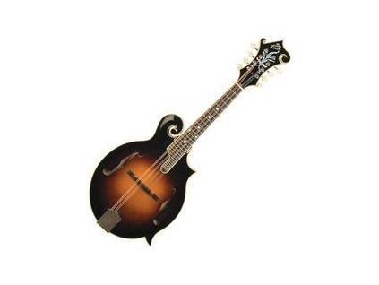 The Loar Sunburst