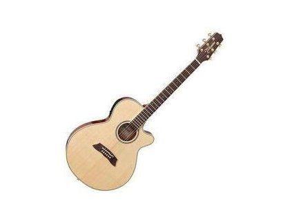 Takamine TSP138C-N Natural