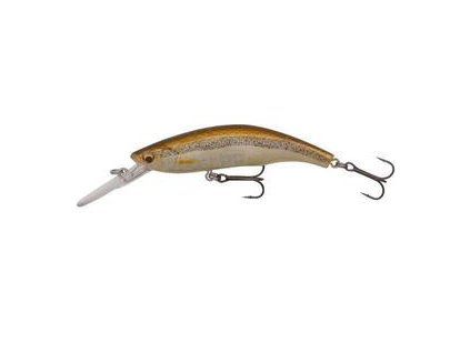 Minnow Minnow