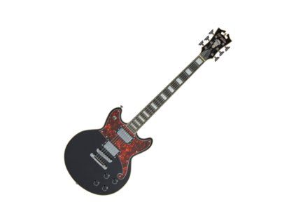 D'Angelico Premier Brighton 2019 Black